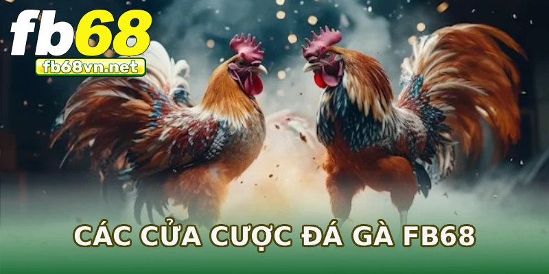 Các cửa cược đá gà FB68