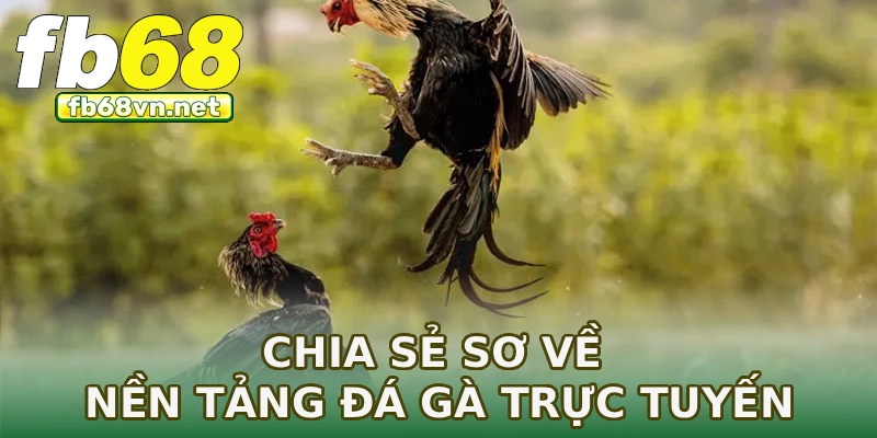 Chia sẻ sơ về nền tảng đá gà trực tuyến