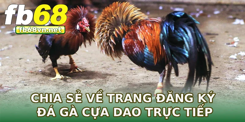 Chia sẻ về trang đăng ký đá gà cựa dao trực tiếp
